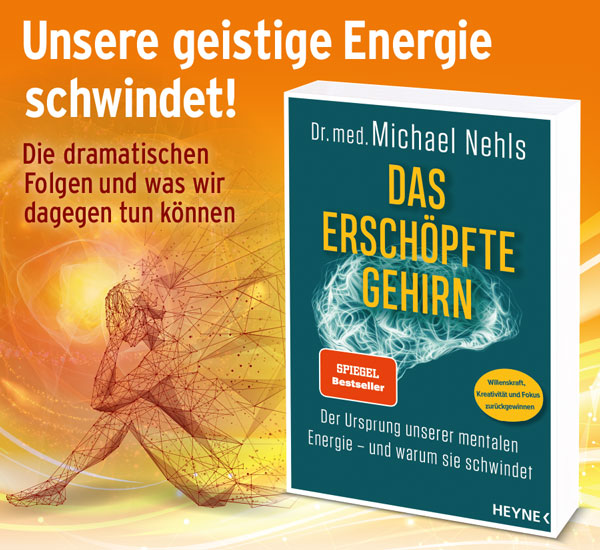 Das ersch�pfte Gehirn