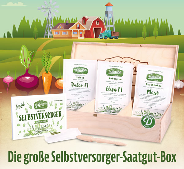 Die gro�e Selbstversorger-Saatgut-Box