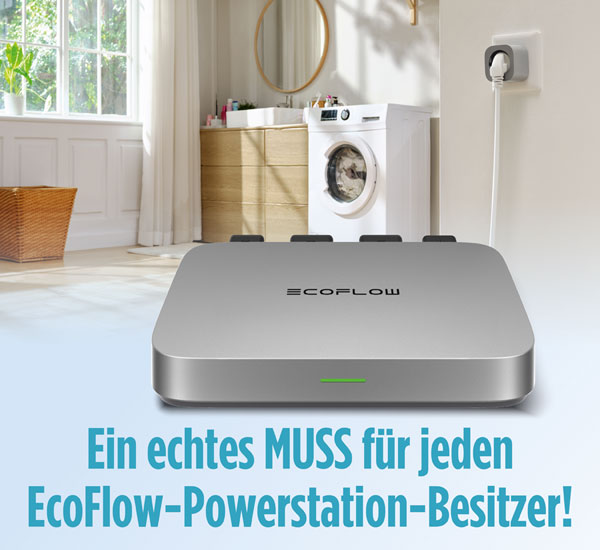 EcoFlow Micro Inverter 800 W / Mikrowechselrichter / f�r Ihr Hausstromnetz