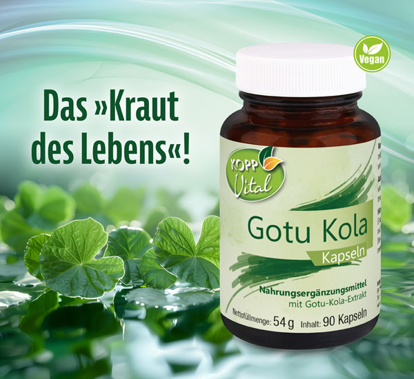 Kopp Vital �  Gotu Kola / 500 mg / 90 Kapseln