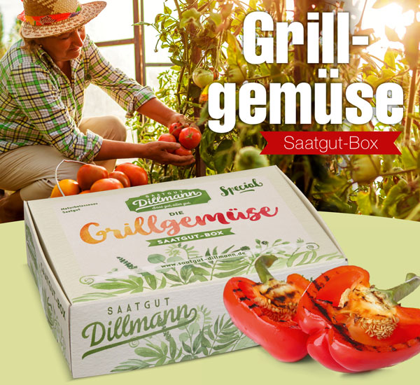 Die Grillgem�se-Saatgut-Box