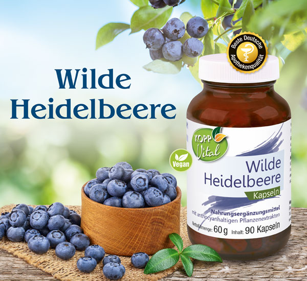 Kopp Vital �  Wilde Heidelbeere / 480 mg / 90 Kapseln