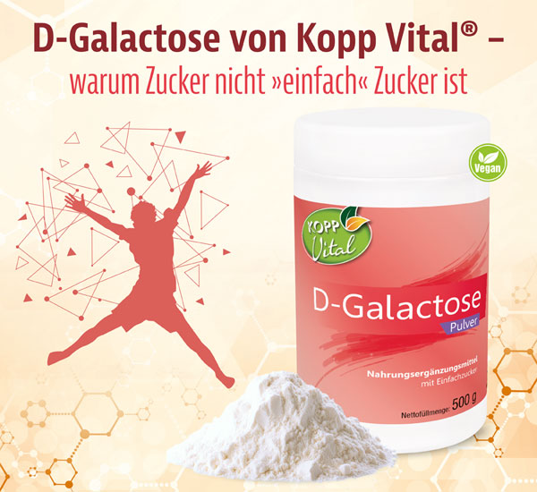 Kopp Vital �  D-Galactose Pulver / 500 g