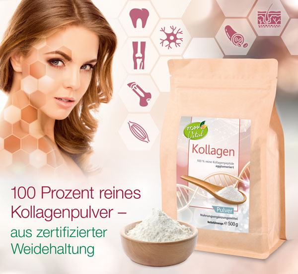 Kopp Vital �  Kollagen Pulver / 500 g / zertifizierte Weidehaltung / Kollagenhydrolysat / Kollagenpeptid / 91% Eiwei�ge