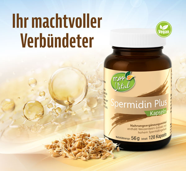 Kopp Vital� Spermidin Plus / 120 Kapseln