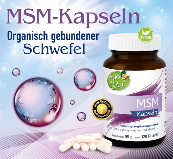 Kopp Vital �  MSM Kapseln - vegan