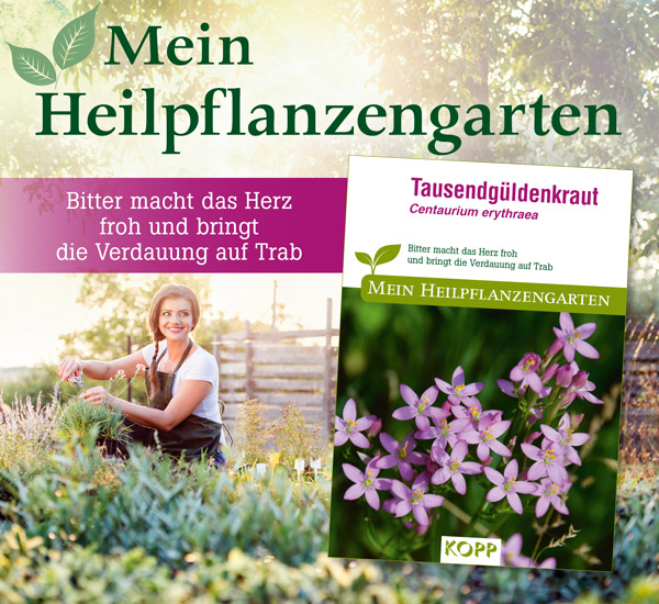 Tausendg�ldenkraut - Mein Heilpflanzengarten
