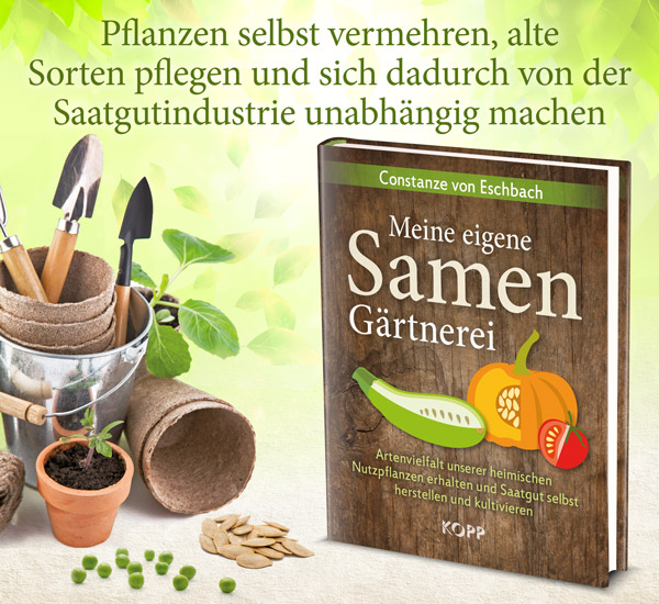 Meine eigene Sameng�rtnerei