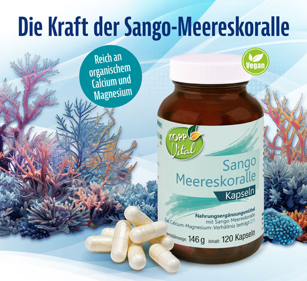 Kopp Vital �  Sango Meereskoralle / 1100 mg / 120 Kapseln