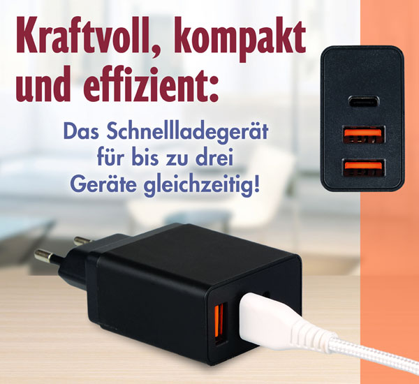 Schnellladeger�t Wall Charger 38 W - Wie neu