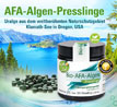 Kopp Vital �  Bio-AFA-Algen / 250 mg / 120 Presslinge_small_zusatz