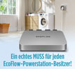 EcoFlow Micro Inverter 800 W / Mikrowechselrichter / f�r Ihr Hausstromnetz_small_zusatz