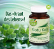 Kopp Vital �  Gotu Kola / 500 mg / 90 Kapseln_small_zusatz