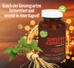 Kopp Vital �  Ginsengkomplex fermentiert Kapseln / 4 Ginsengsorten als Extrakte nicht nur Pulver_small_zusatz