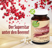 Kopp Vital �  Schisandra / 500 mg / 90 Kapseln_small_zusatz