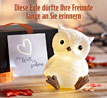 LED-Eule �Tilda� - Wie neu_small_zusatz