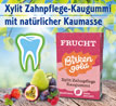 Birkengold �  Xylit-Kaugummi Frucht_small_zusatz