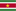 Flag Suriname