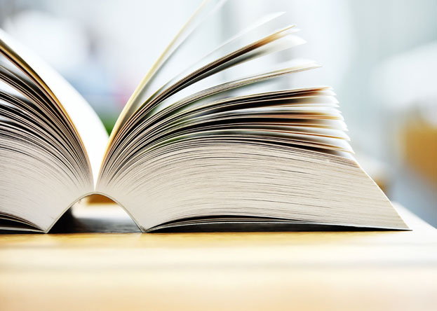 Bild f�r B�cher Neu