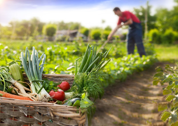 Bild f�r Selbstversorgung