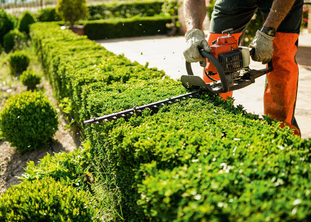 Bild f�r Gartenhelfer