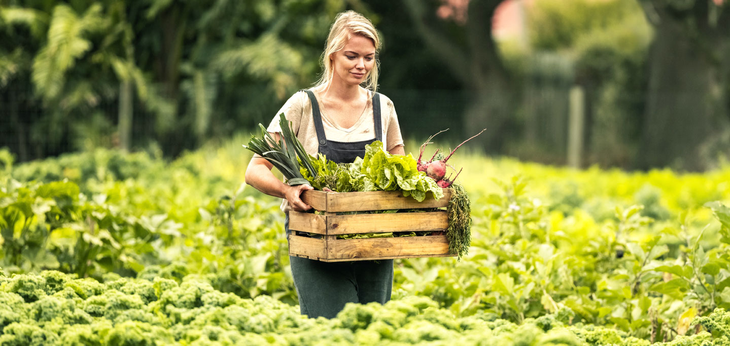 Selbstversorgung & �berleben