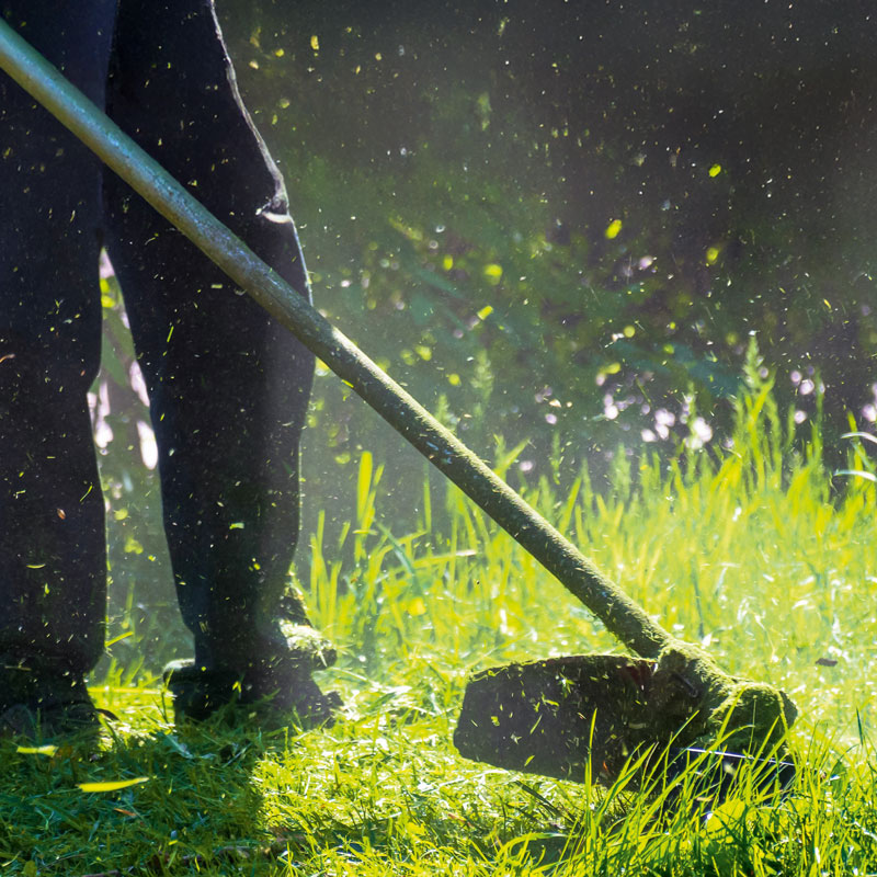 Hammersmith Mood Bild 1