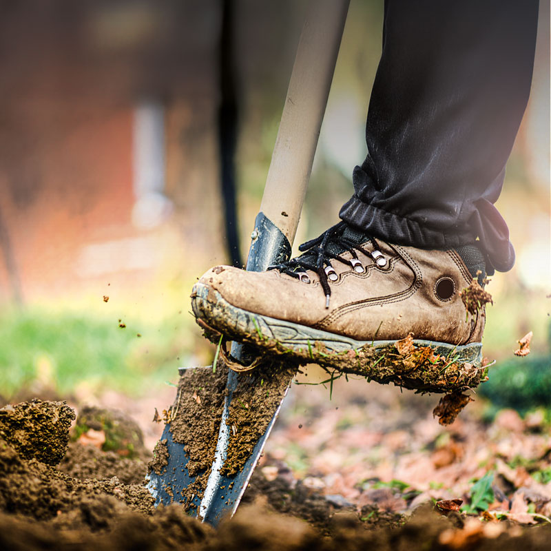 Hammersmith Mood Bild 2