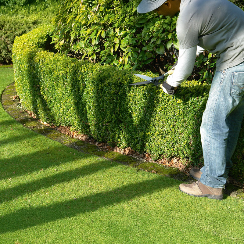 Hammersmith Mood Bild 3