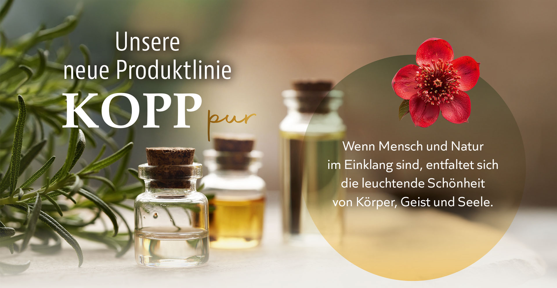 Bild Kopp pur Oele Dektop 01