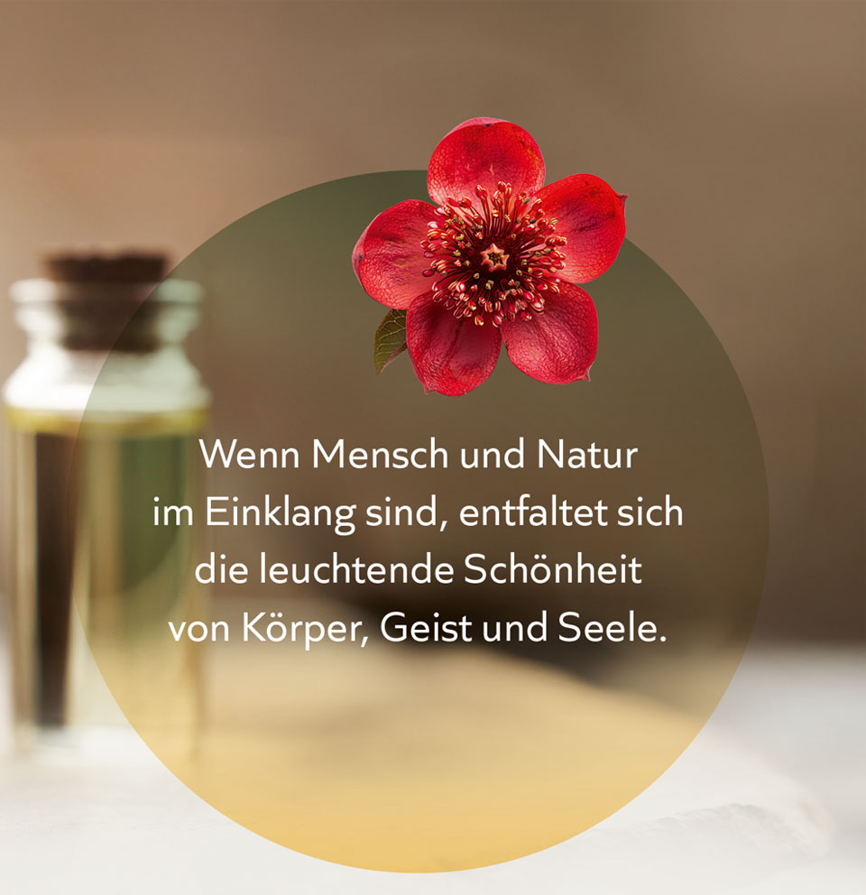 Bild Kopp pur Oele Mobile 02